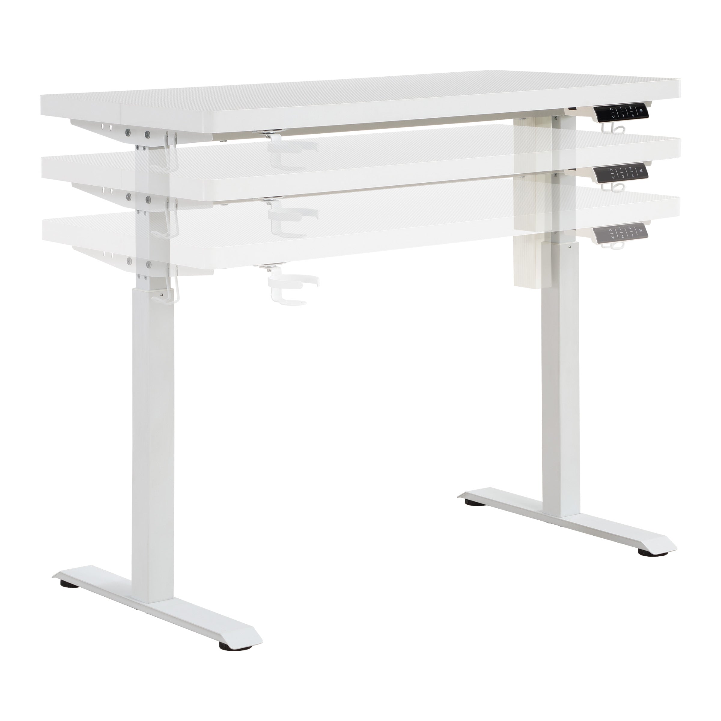 Primo-Sit/Stand Elec 48"-White Carb - White