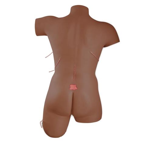 Wound Care and Bandaging Skill Trainer, Dark