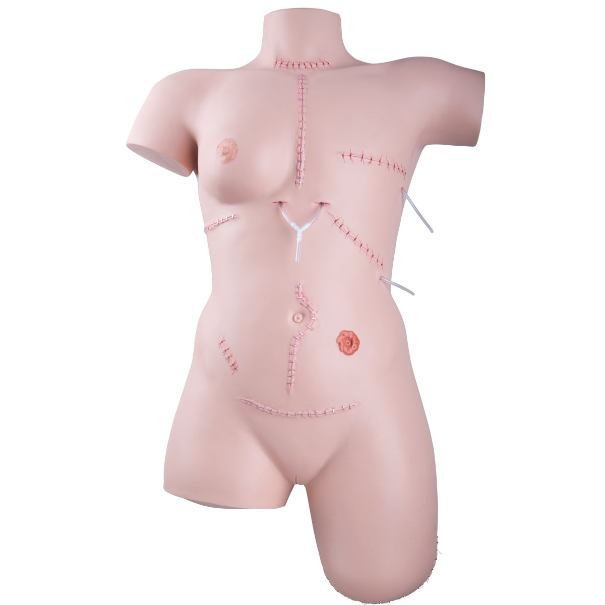 Trainer for Wound Care and Bandaging Techniques, Light Skin