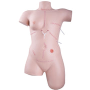 Trainer for Wound Care and Bandaging Techniques, Light Skin