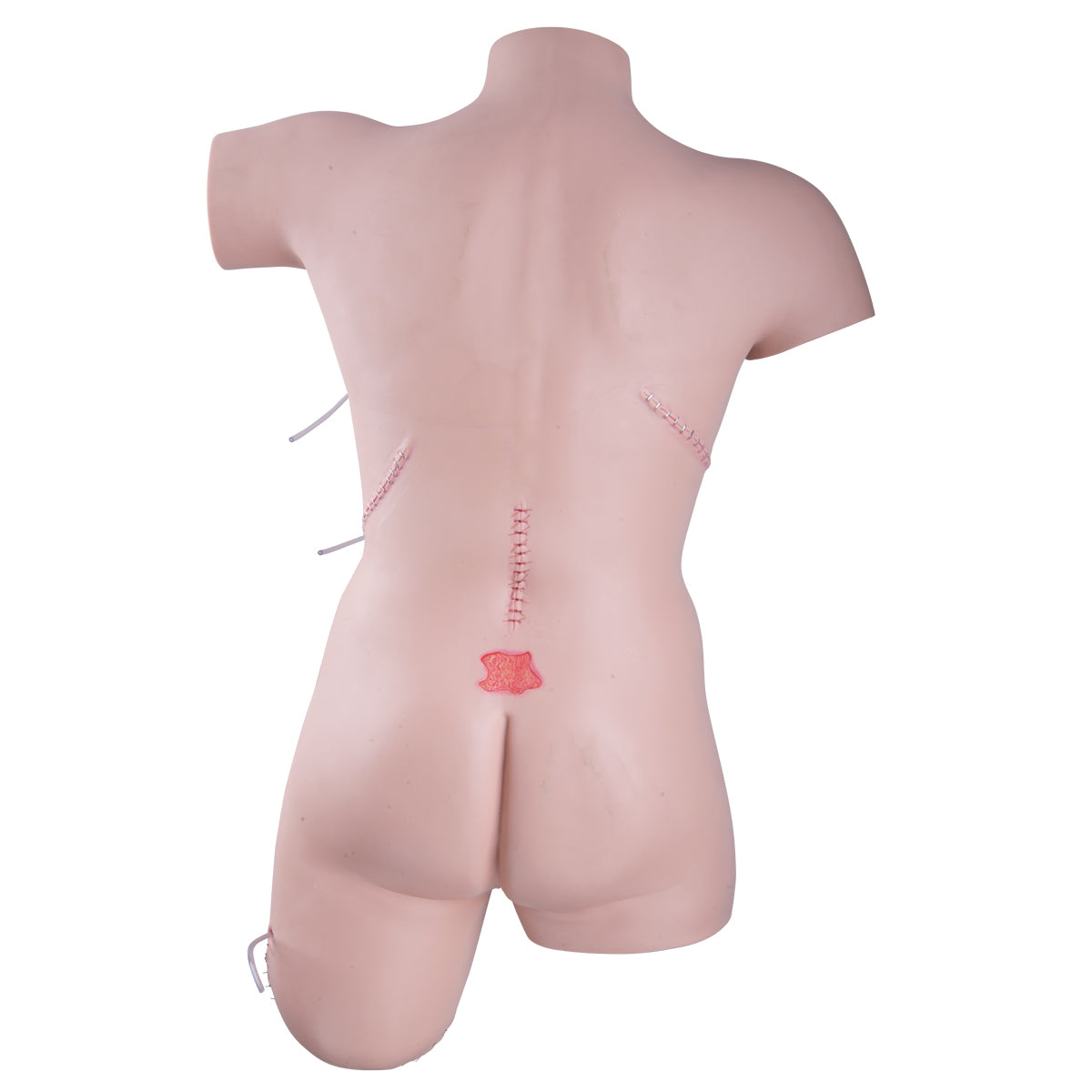 Trainer for Wound Care and Bandaging Techniques, Light Skin