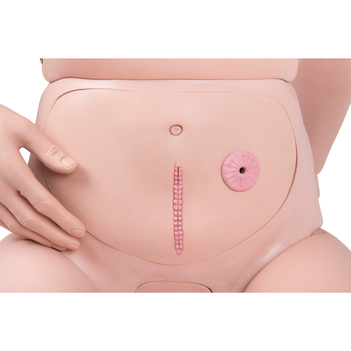 3B Scientific® Patient Care Manikin Basic, Light Skin