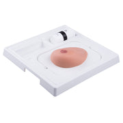 SONOtrain Breast Model with Cysts, Light Skin