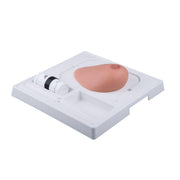 SONOtrain Breast model with tumours, Light Skin