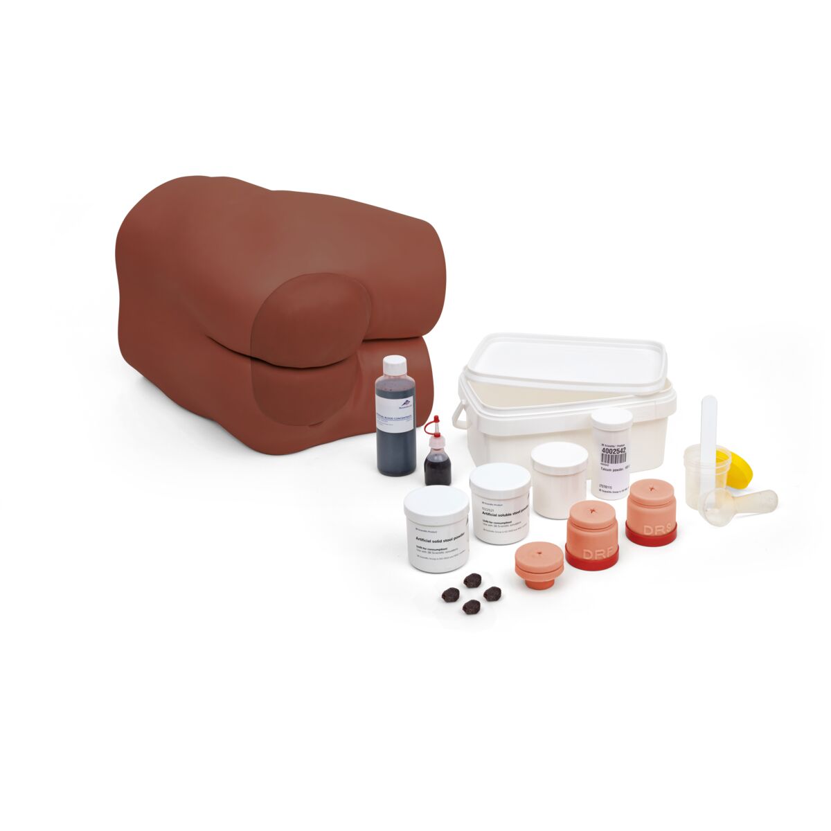 Bowel Care and Enema Trainer, Dark Skin