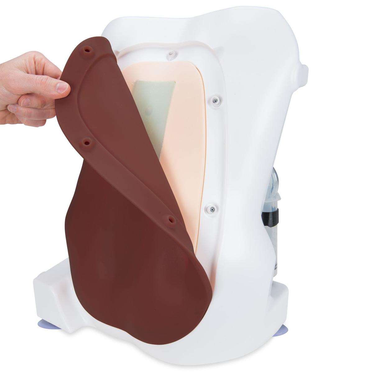 Epidural and Spinal Injection Trainer, Dark Skin