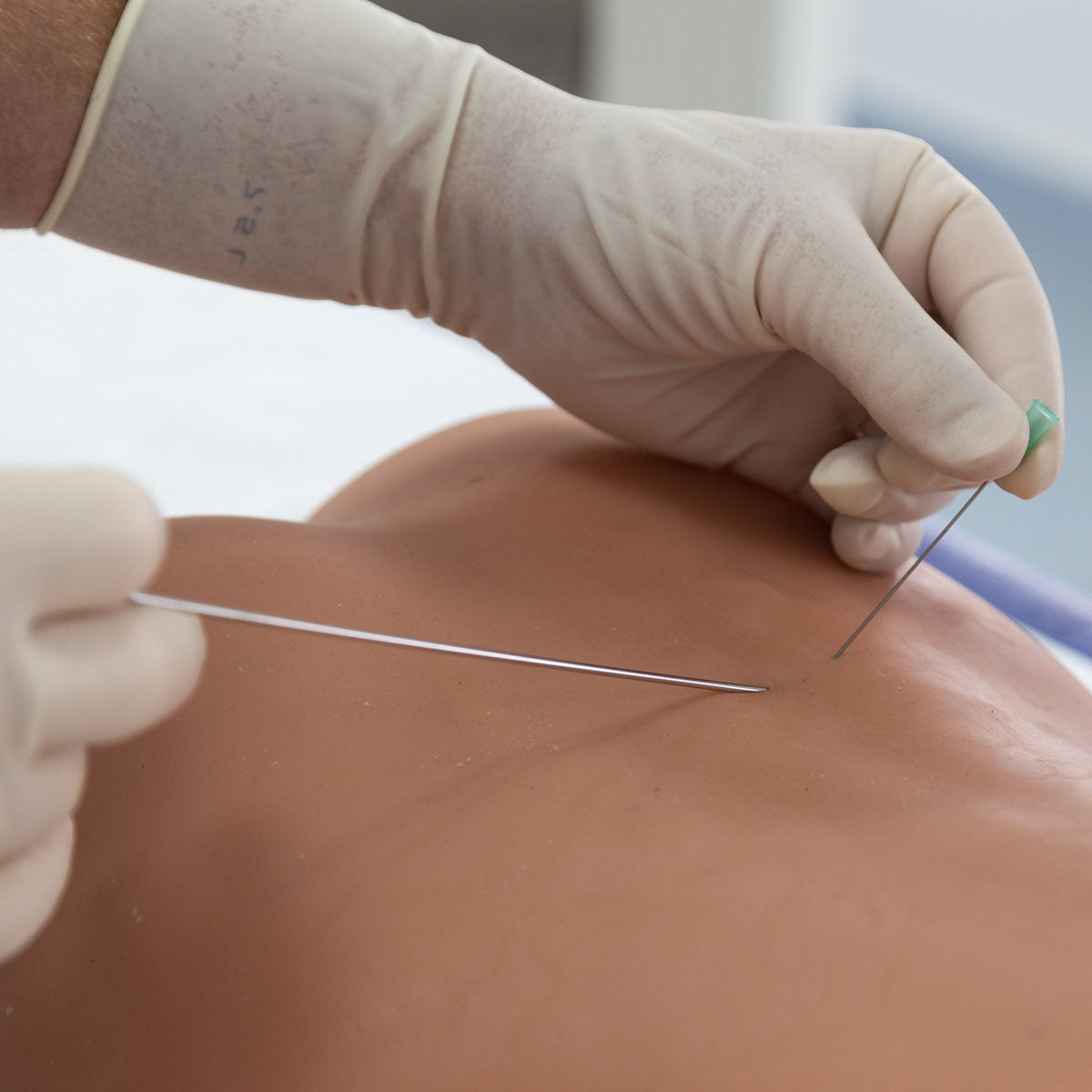 Image Guided Lumbar Spinal Injection Trainer P65
