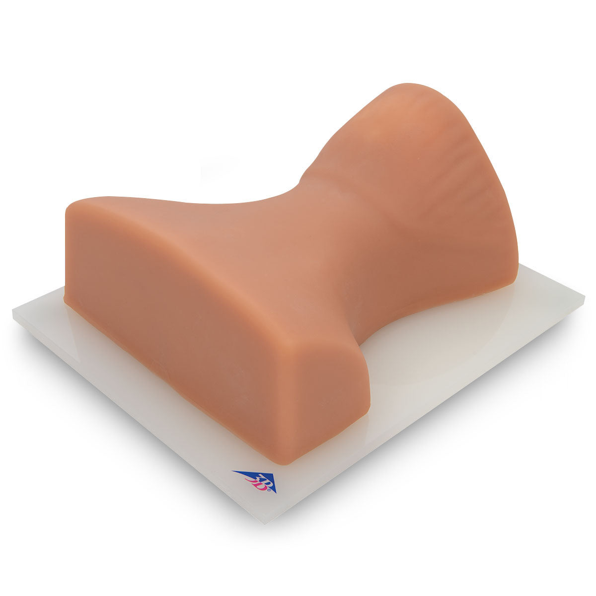 Image Guided Lumbar Spinal Injection Trainer P65