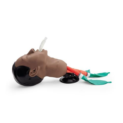 Airway Management Trainer, Dark Skin