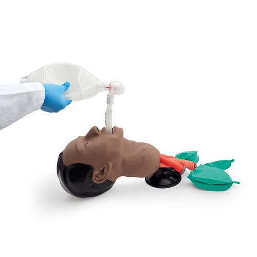 Airway Management Trainer, Dark Skin