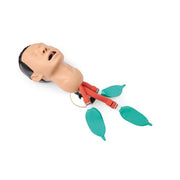 Airway Management Trainer, Light Skin