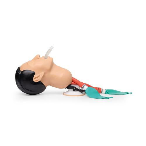 Airway Management Trainer, Light Skin