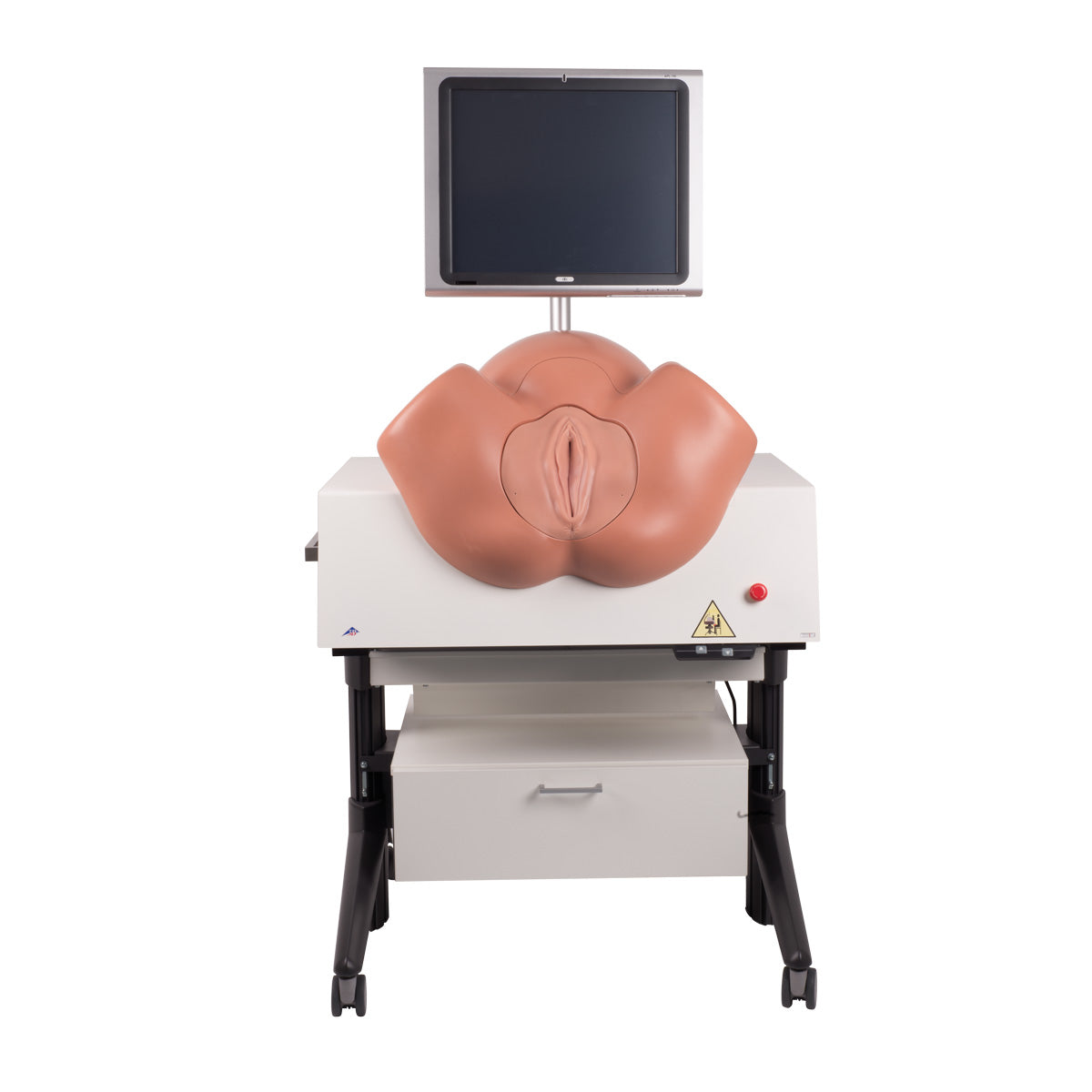 NEW SIMone Birthing Simulator