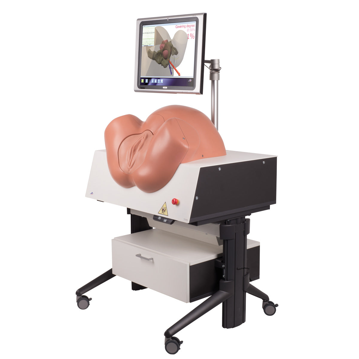 NEW SIMone Birthing Simulator