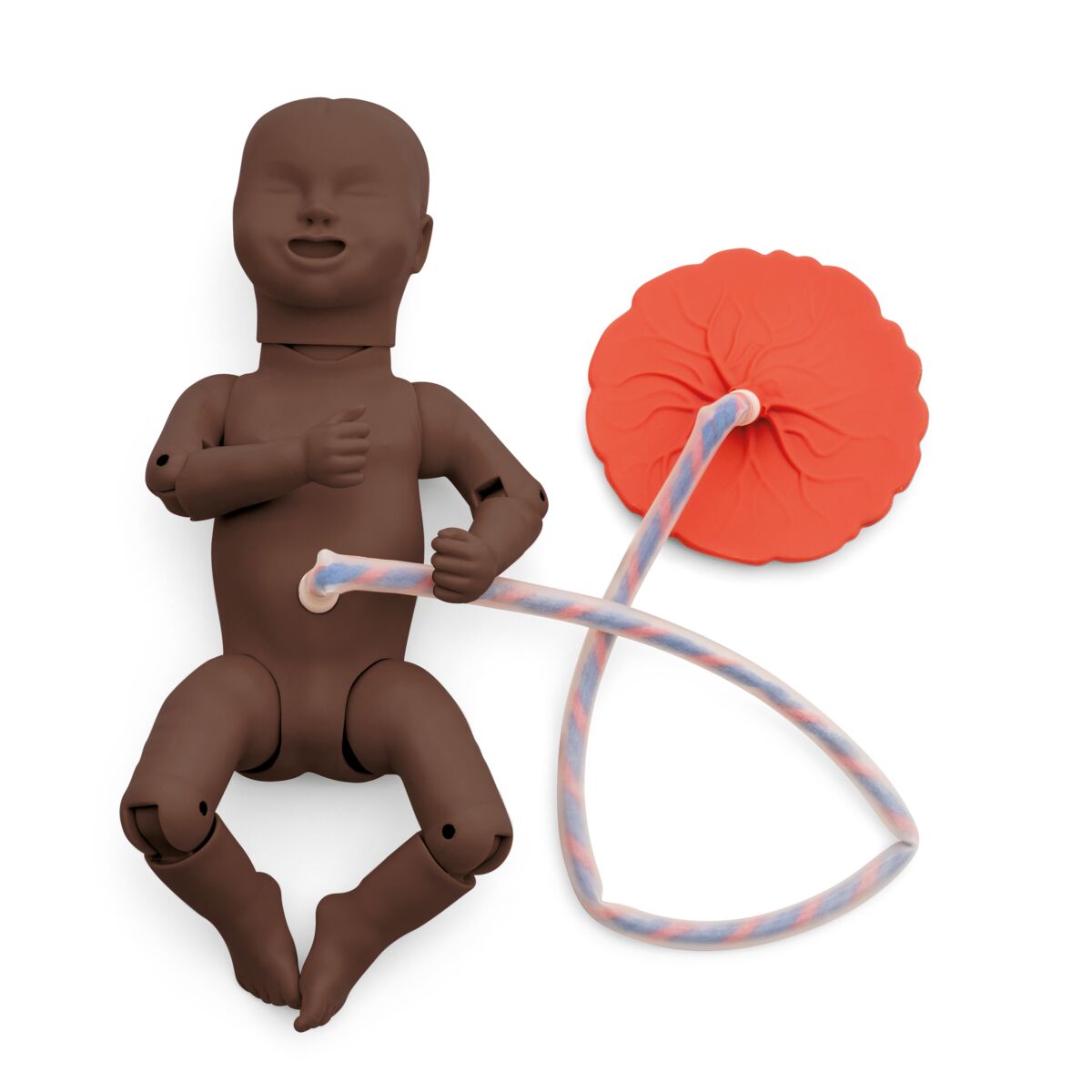 3B Birthing Simulator Basic, Dark Skin