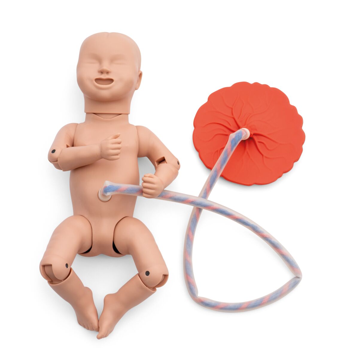 3B Birthing Simulator Basic, Light Skin