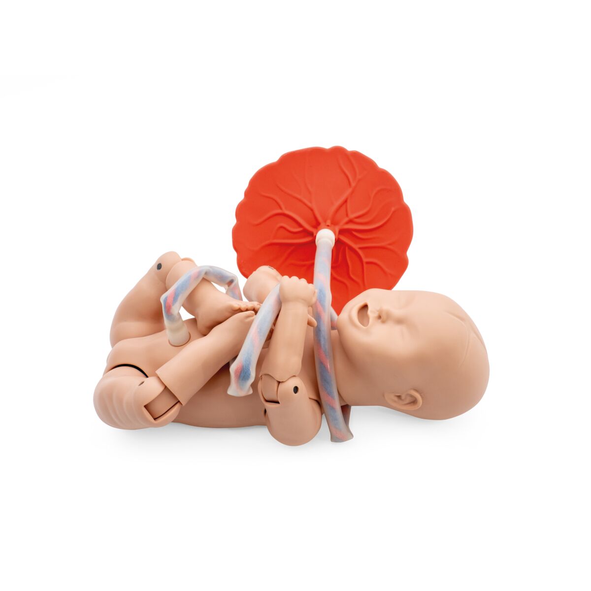 3B Birthing Simulator Basic, Light Skin