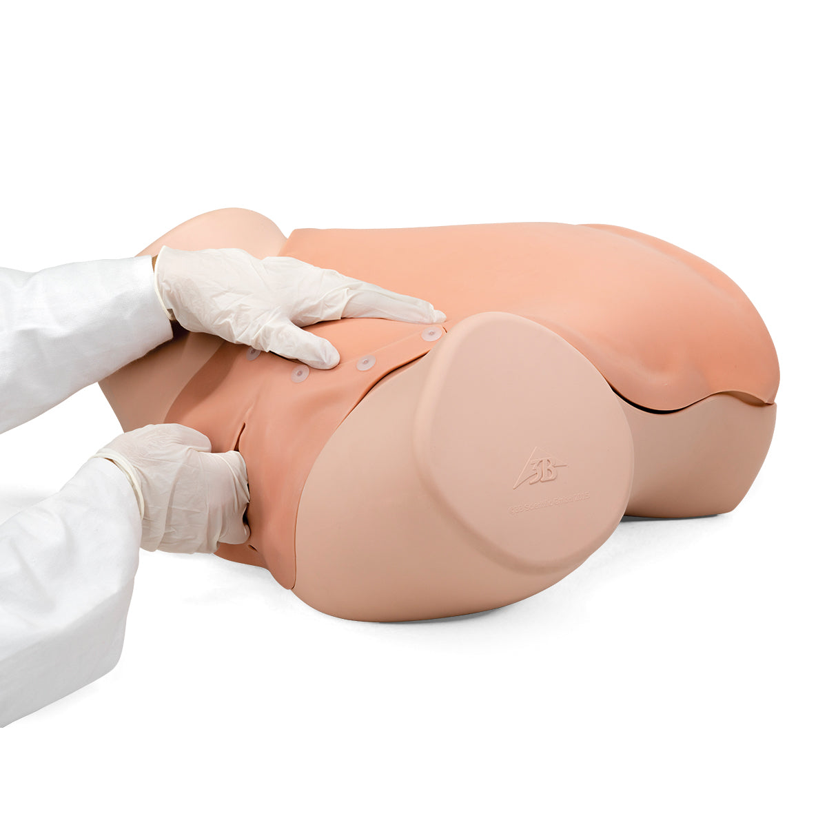 Gynecologic Skills Trainer, Light Skin