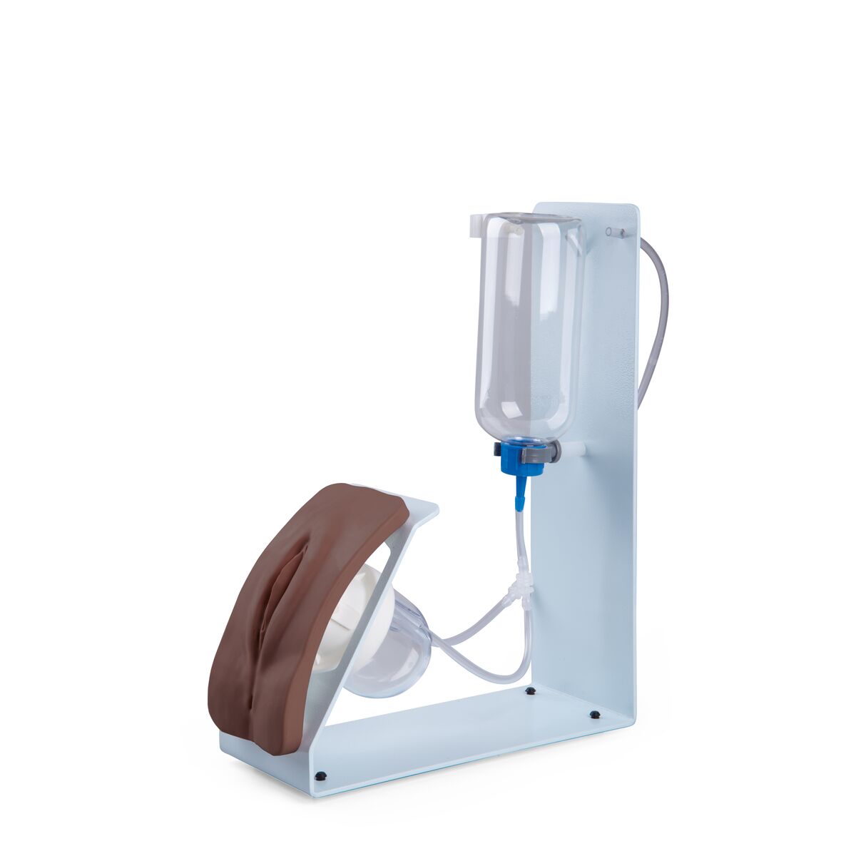 Catheterization Simulator Basic-Female,
Dark Skin