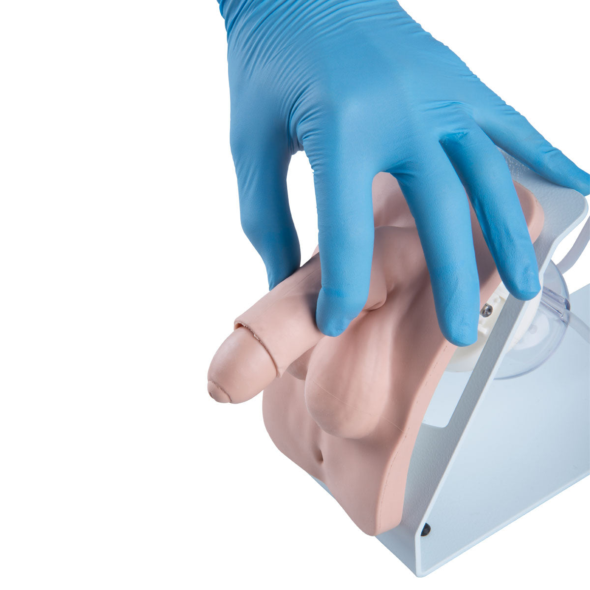 Catheterization Simulator Basic-Male, Light Skin