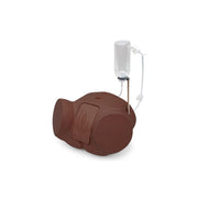 Catheterization Simulator Pro-Female,
Dark Skin