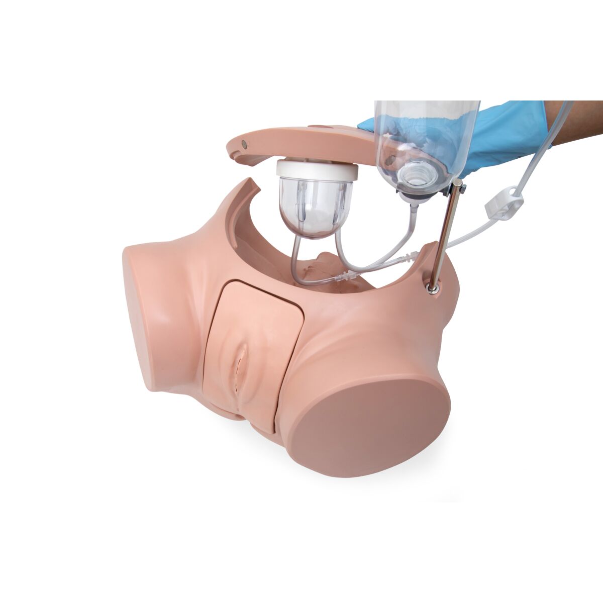 Catheterization Simulator Pro-Female,
Light Skin