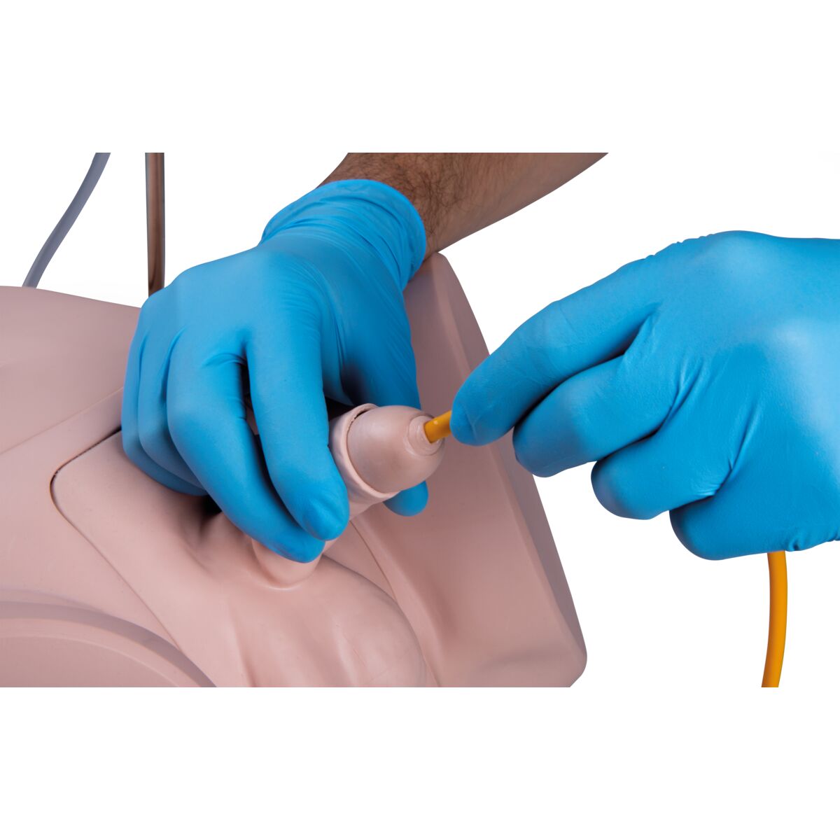 Catheterization Simulator Set Pro, Light Skin