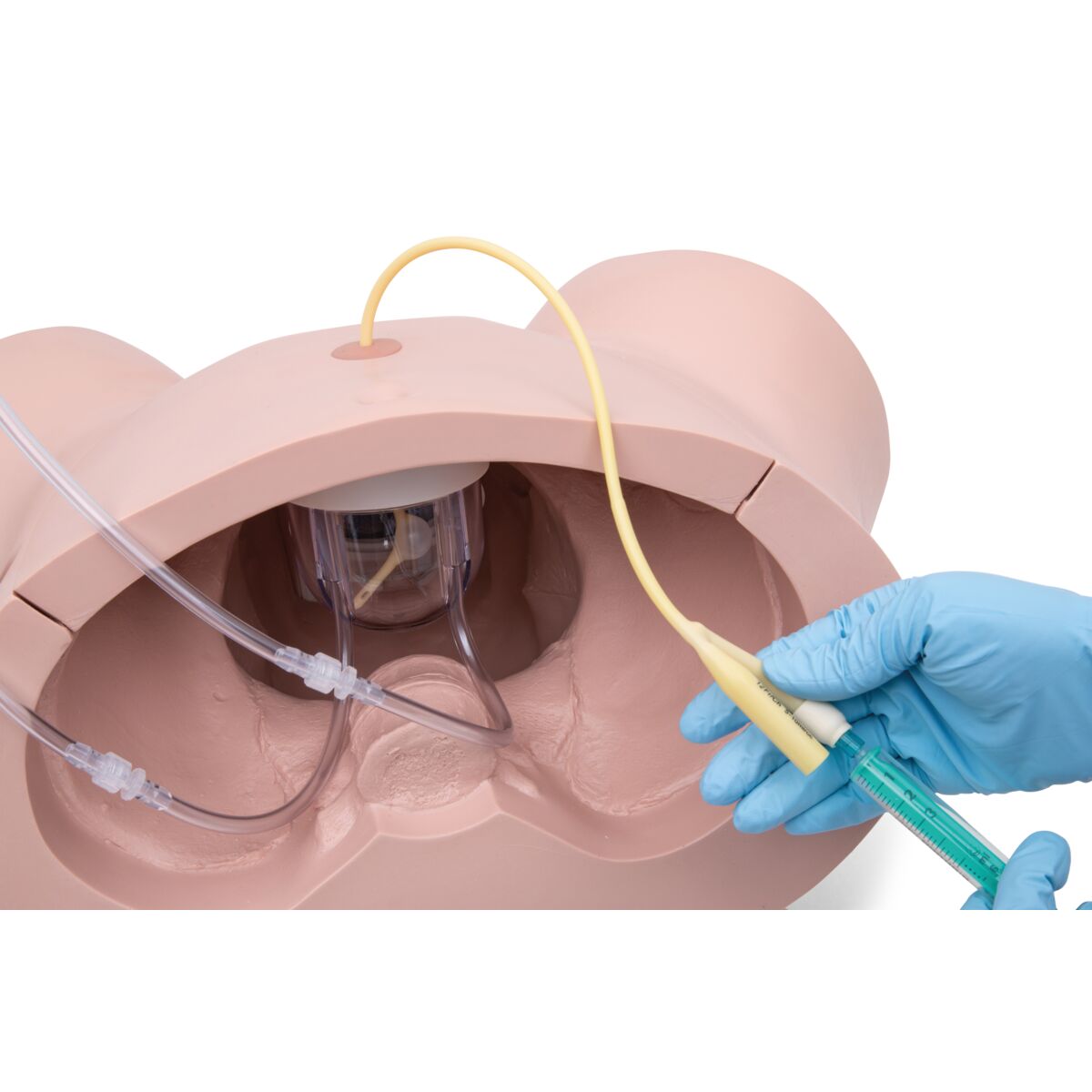 Catheterization Simulator Set Pro, Light Skin