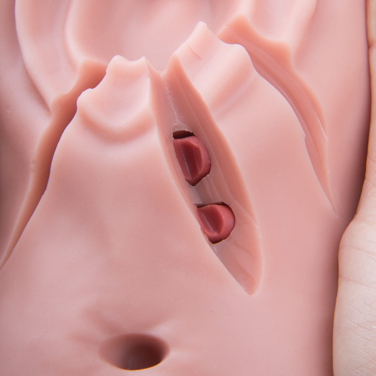 Episiotomy and Suturing Trainer, Light Skin