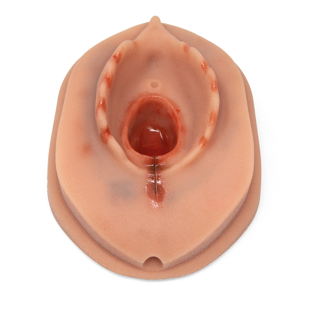 Episiotomy Suture Training Module for Birthing Simulator P90, Light Skin