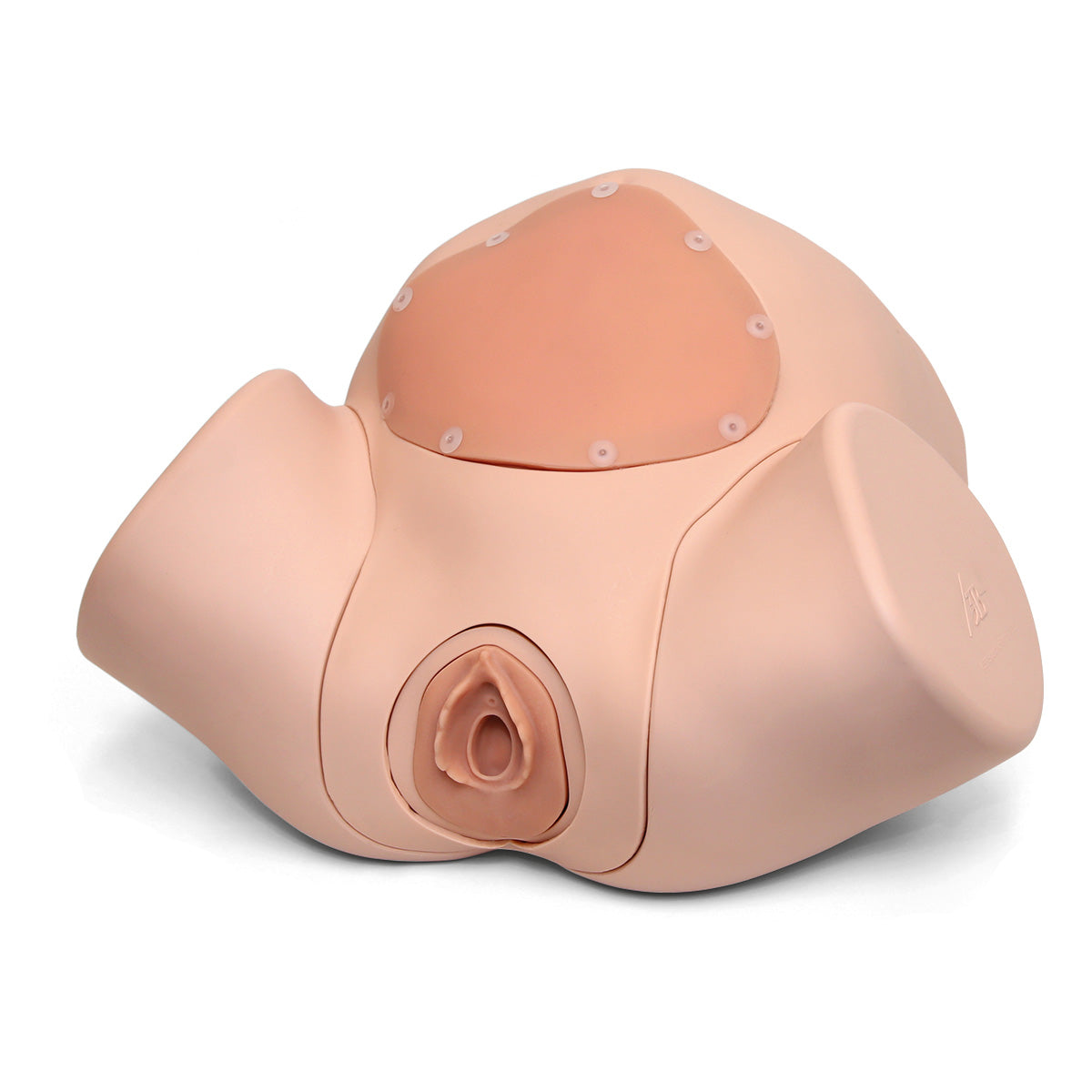 Episiotomy Suture Training Module for Birthing Simulator P90, Light Skin