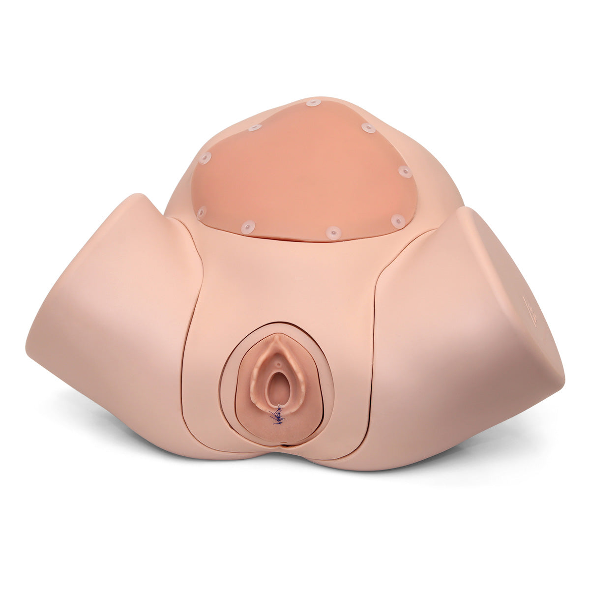 Episiotomy Suture Training Module for Birthing Simulator P90, Light Skin