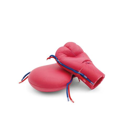 Module PPH Trainer Pro_P97Pro, Dark