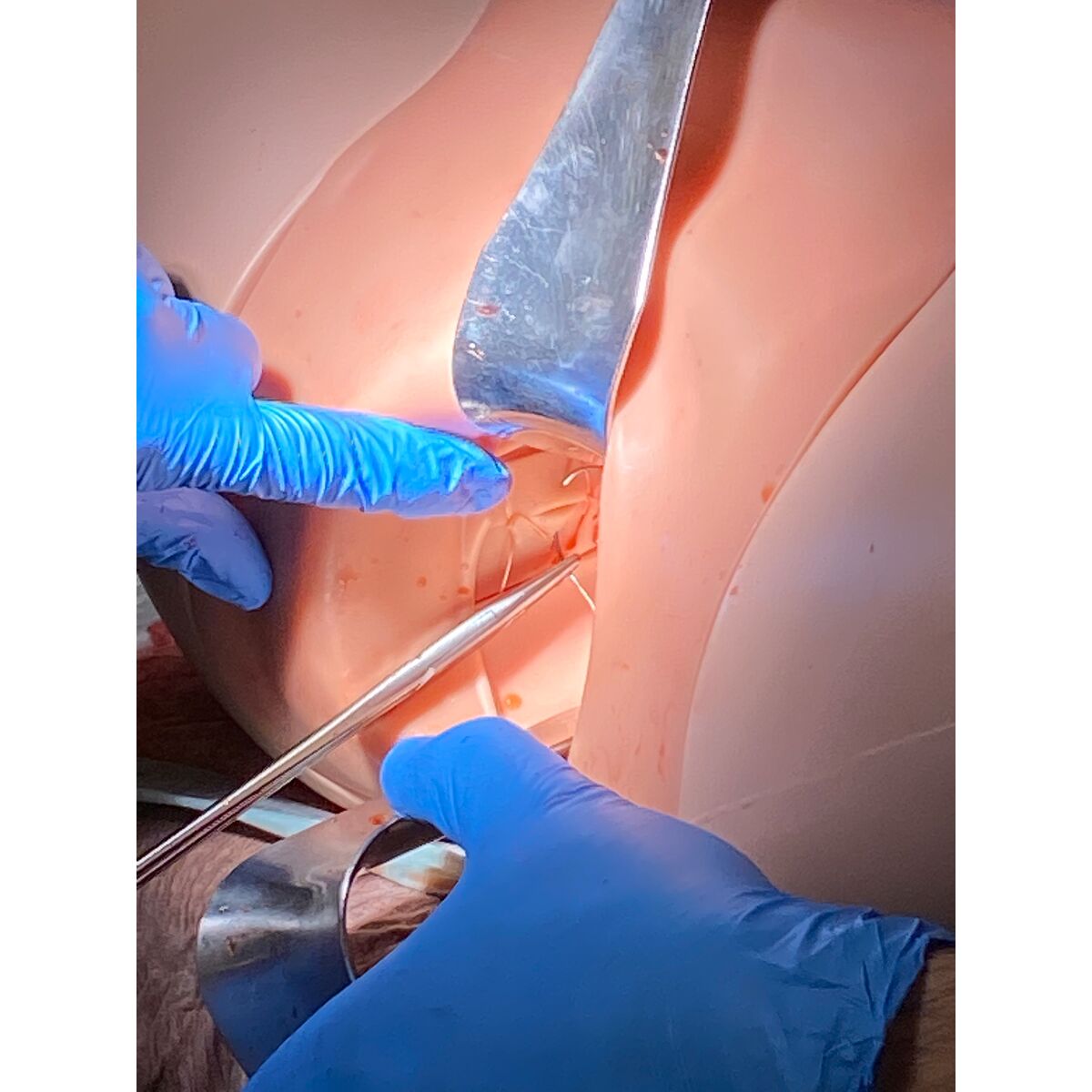 P97 PRO PPH module for birth simulator P90