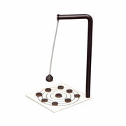 Magnetic Pendulum