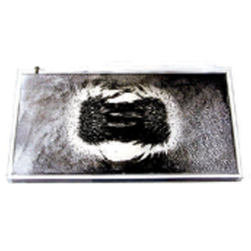 Magnetic Field Demonstrator,8X4.5X3/8"