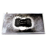 Magnetic Field Demonstrator,8X4.5X3/8"
