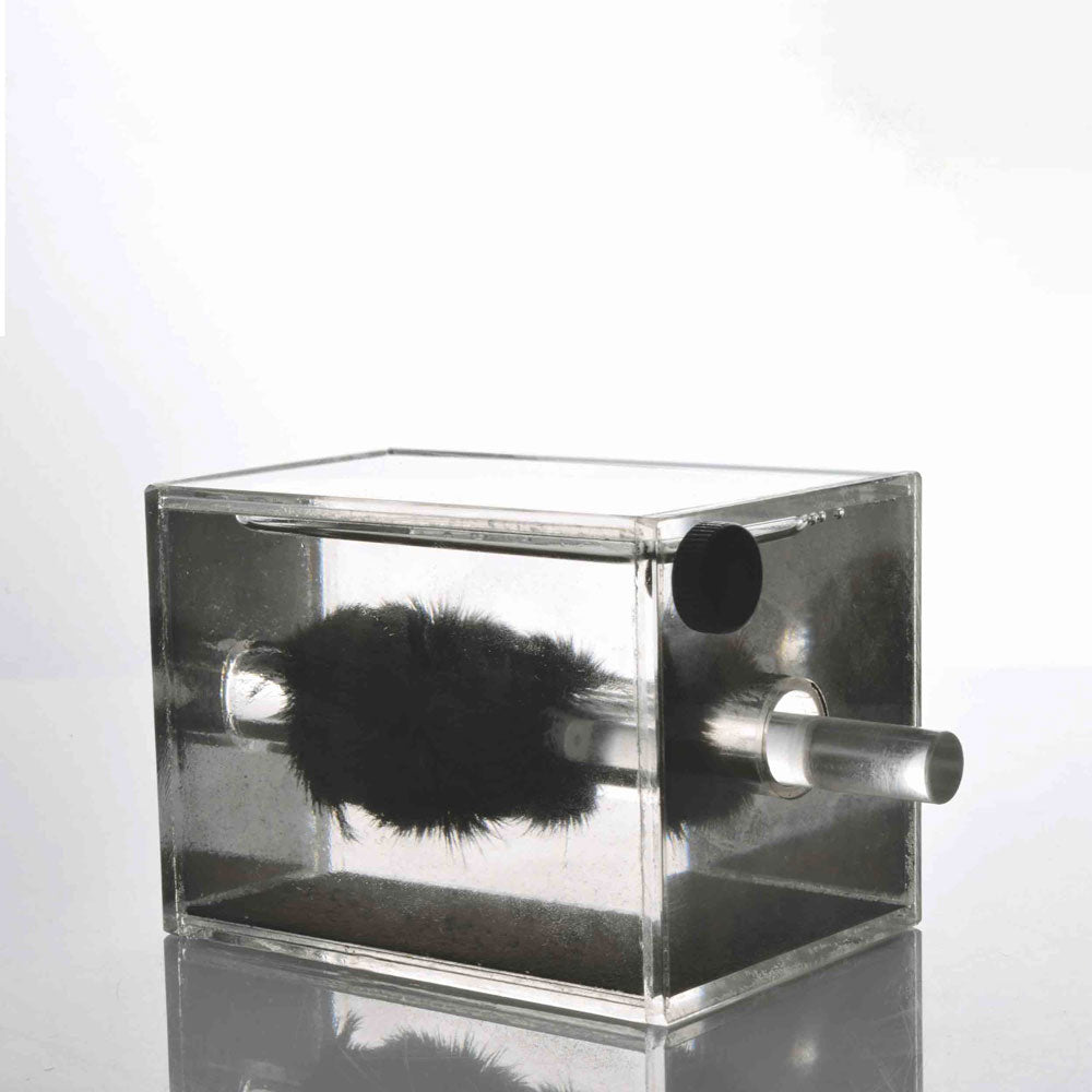 Magnetic Field Demonstrator