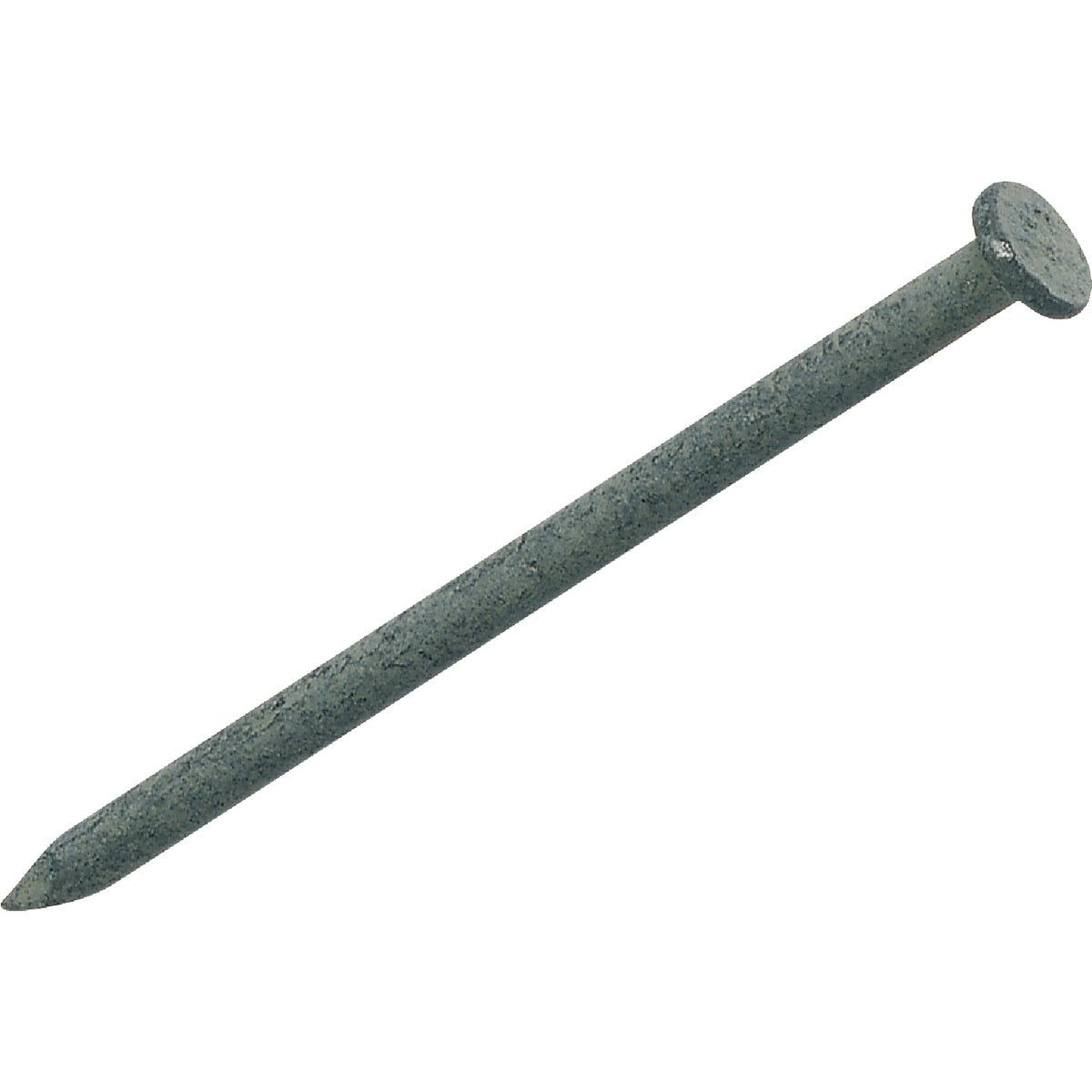 16d x 3-1/2 In. 8 ga Hot Galvanized Common Nails (235 Ct., 5 Lb.)