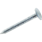2 In. 11 ga Hot Galvanized Roofing Nails (690 Ct., 5 Lb.)