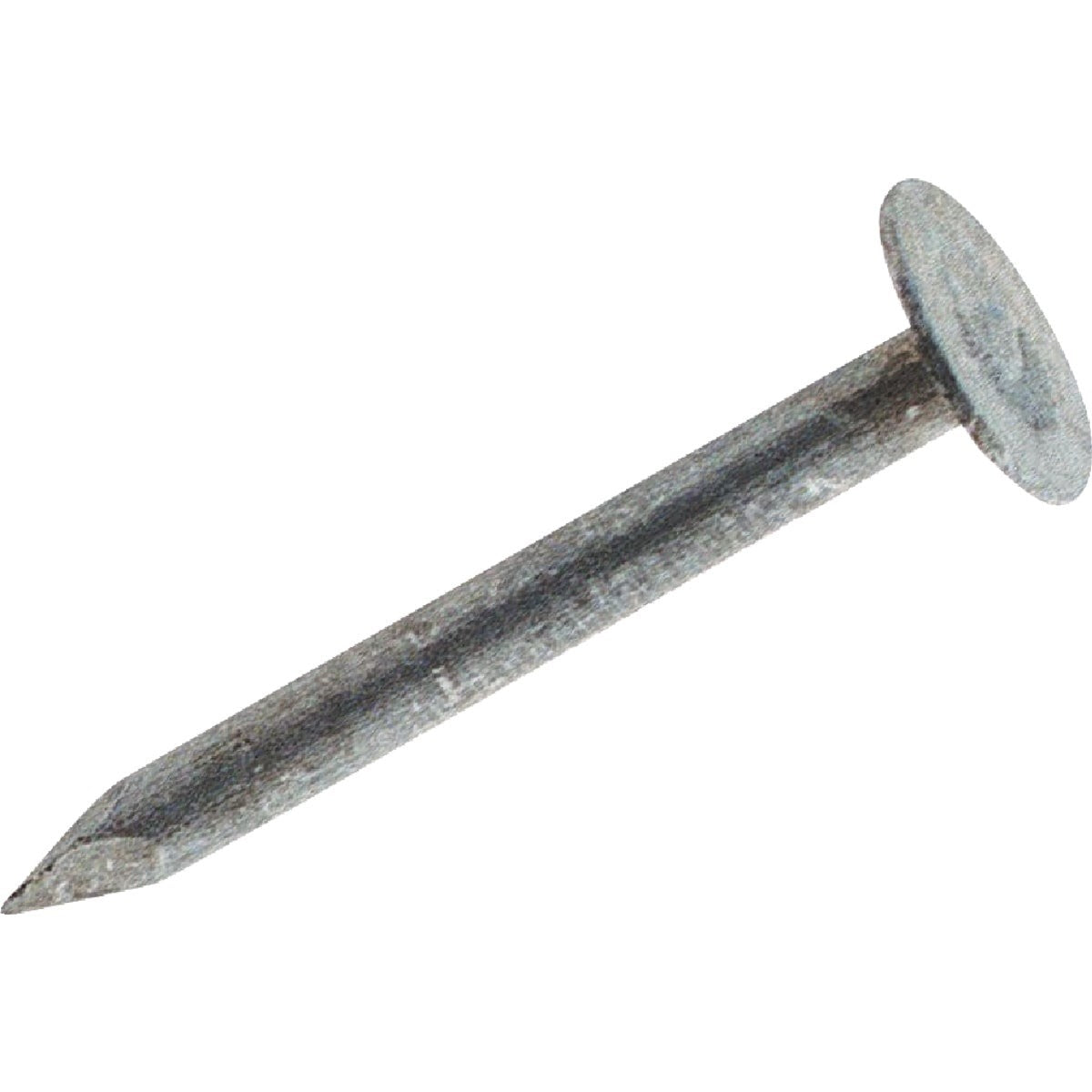 2 In. 11 ga Electrogalvanized Roofing Nails (144 Ct., 1 Lb.)