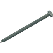 6d x 2 In. 11-1/2 ga Hot Galvanized Common Nails (835 Ct., 5 Lb.)