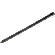 16d x 3-1/2 In. 10 ga Hot Galvanized Casing Nails (74 Ct., 1 Lb.)