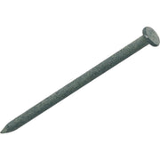 10d x 3 In. 9 ga Hot Galvanized Common Nails (66 Ct., 1 Lb.)