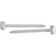 1-1/2 In. 10 ga Hot Galvanized Roofing Nails (107 Ct., 1 Lb.).