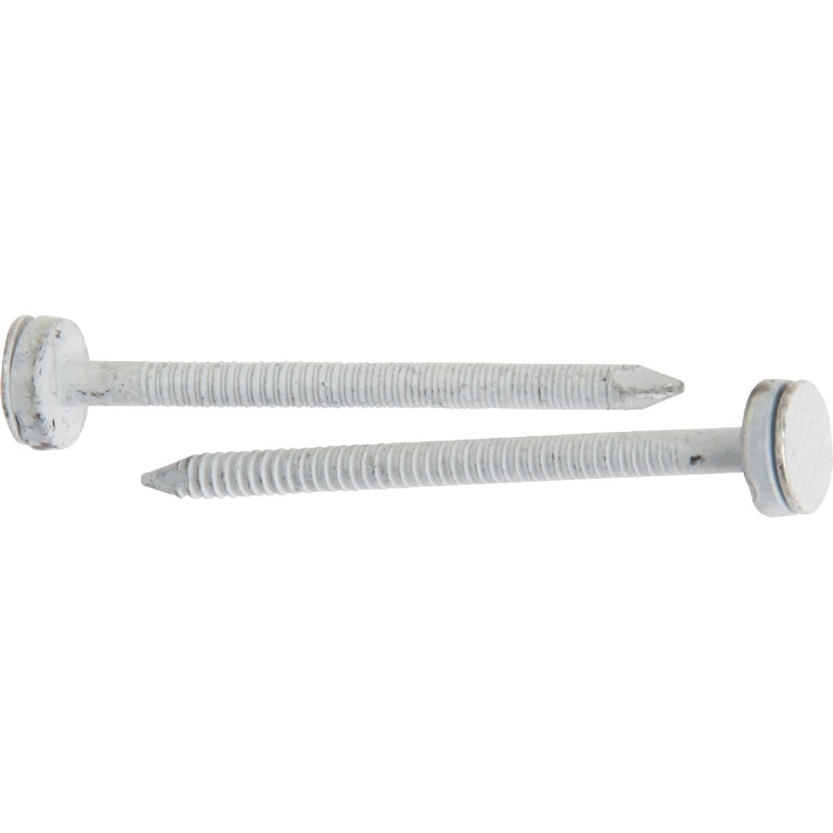 2 In. 10 ga Hot Galvanized Roofing Nails (96 Ct., 1 Lb.).
