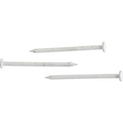 1-1/4 In. 15 ga White Stainless Steel Trim Nails (649 Ct., 1 Lb.)
