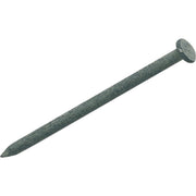 20d x 4 In. 6 ga Hot Galvanized Common Nails (145 Ct., 5 Lb.)