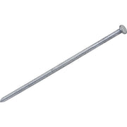 16d x 3-1/2 In. 9 ga Hot Galvanized Pole Barn Nails (285 Ct., 5 Lb.)