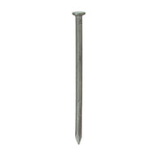 Grip-Rite 8d x 2-1/2 In. 10-1/4 ga Bright Common Nails (3030 Ct., 30 Lb.)
